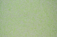 Liquid wallpaper Ekobarvi L-25-2, collection Light
