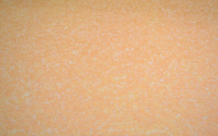 Liquid wallpaper Silkplaster Provence 043