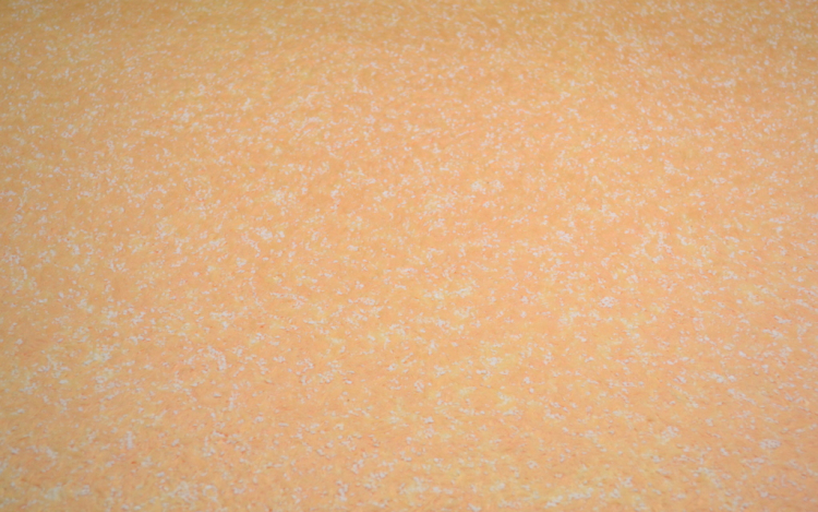 Liquid wallpaper Silkplaster Provence 043