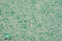 Liquid wallpaper Yurski Yucca 1206