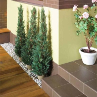 Simple red 30*30 (пол) - Simple red 30*30 (пол)
